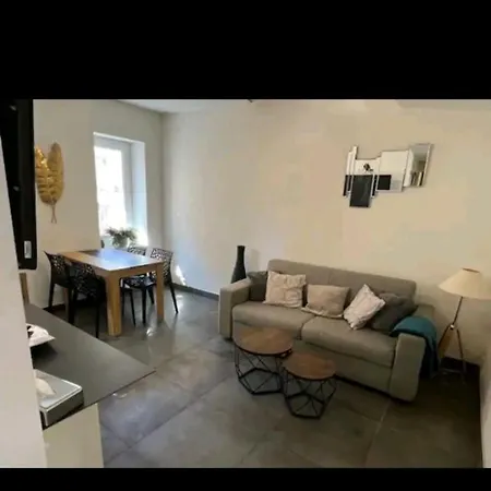 Apartment Centre Nice
